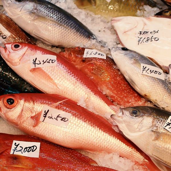 湖南市で和食の美味しい居酒屋をお探しでしたら食彩なかにしがおすすめです